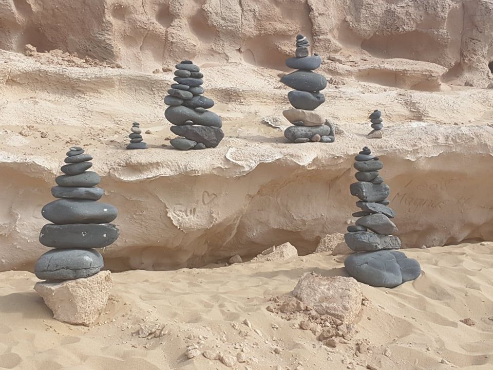 67232091_318103112253228_5673619117609844736_n.jpg