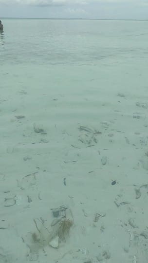 682540d0-7238-44f9-8718-5570016b7e8c.jpg