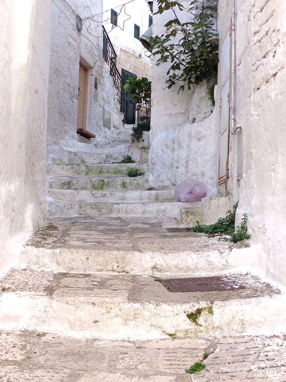 6DSC09610 Ostuni 0