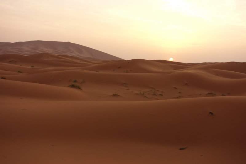 7 Deserto