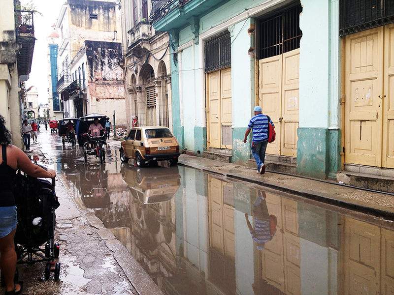 7 - HAVANA CHOVER