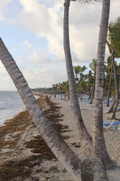 73 - PRAIA HOTEL RIU IMG_7855