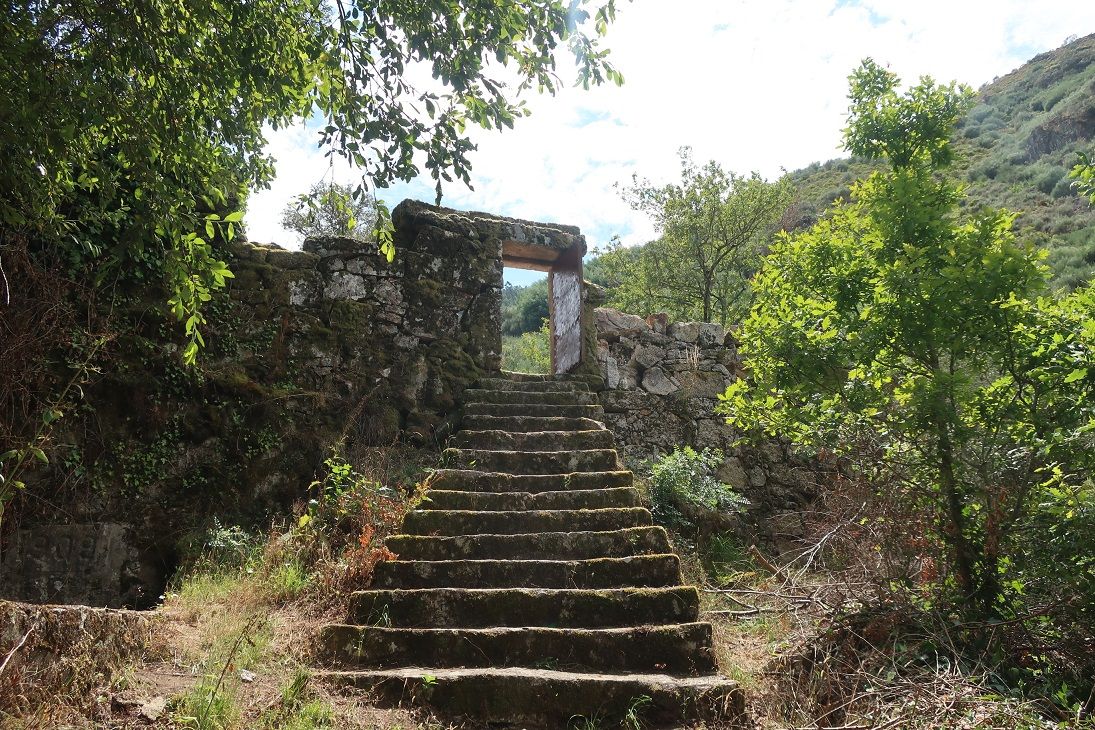 74 Misarela.JPG