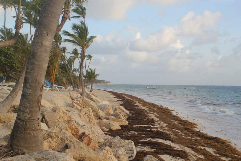 75 - PRAIA HOTEL RIU IMG_7858