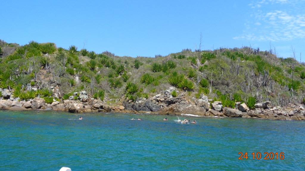 75arraial