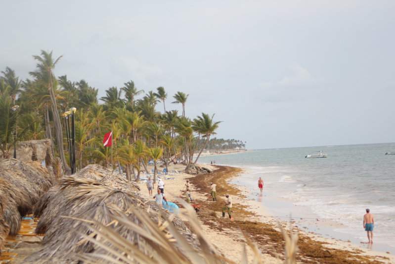 77 - PRAIA IMG_7735