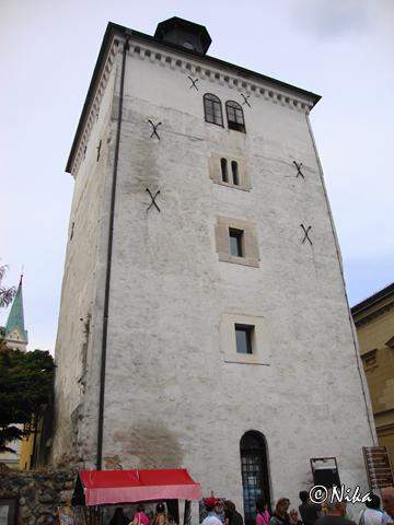 7DSC03592 Torre Lotrscak - Zagreb 03.JPG