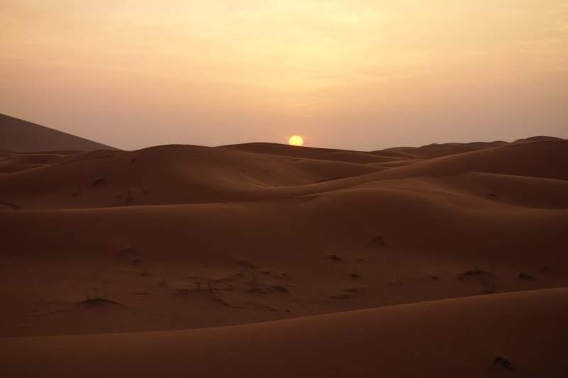 8 Deserto
