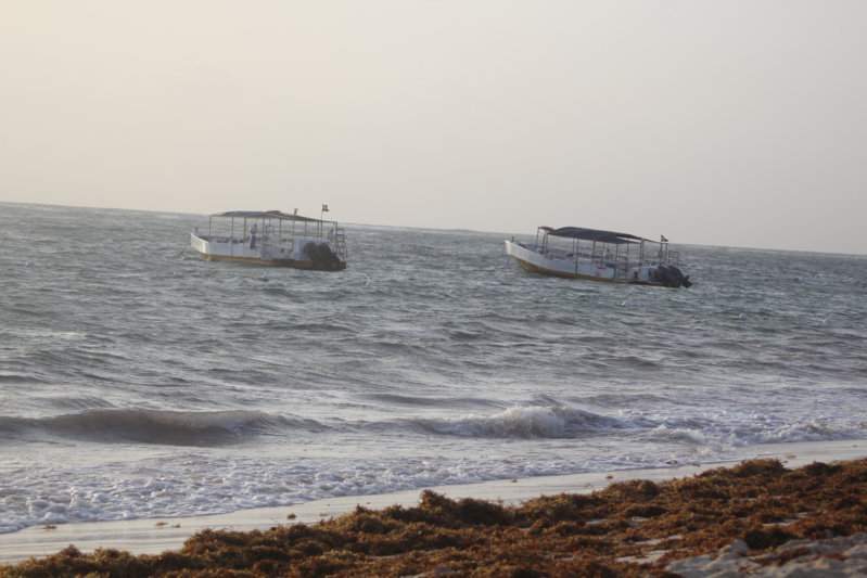 80 - PRAIA IMG_7955