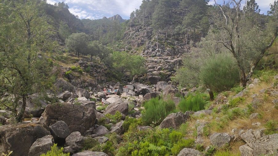 81 Cascata.jpg
