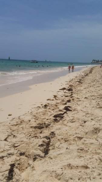 87 - PRAIA A MELHORAR 3 - 20150718_115533