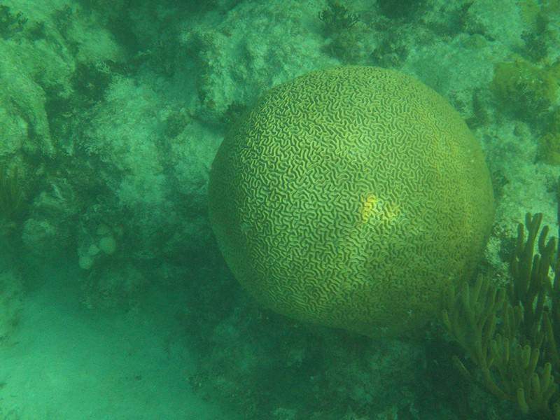8a