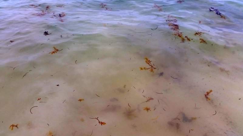 90 - PRAIA A MELHORAR 6 - 20150719_152650