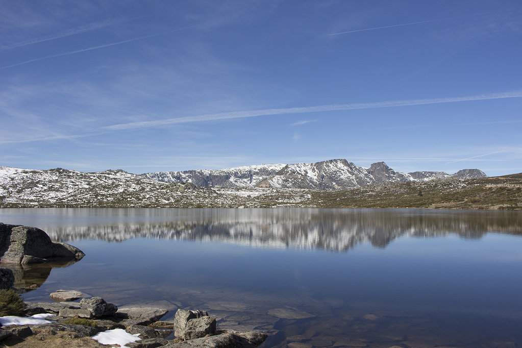 _MG_2458