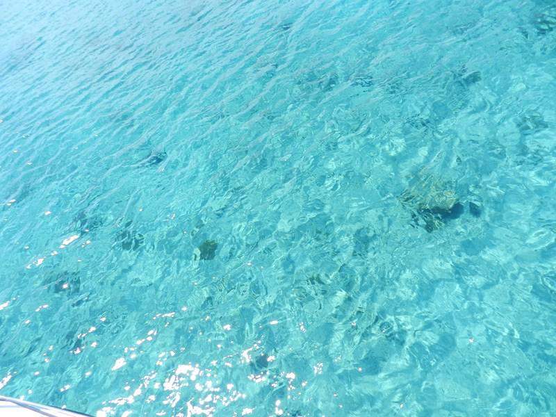 a caminho da Ilha Catalina - agua maravilhosa