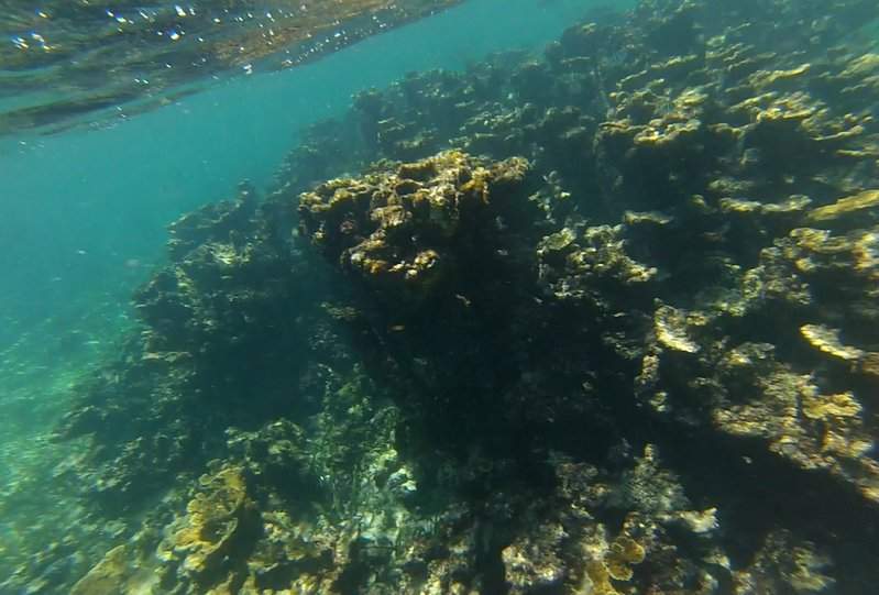 A caminho da Ilha Contoy - paragem para fazer snorkeling