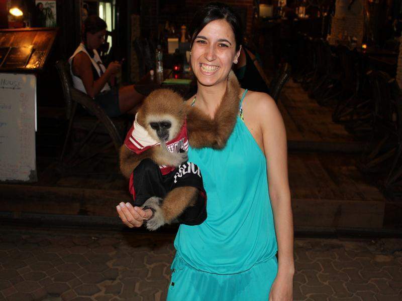 A Joana também quis pegar no macaco - Phi Phi