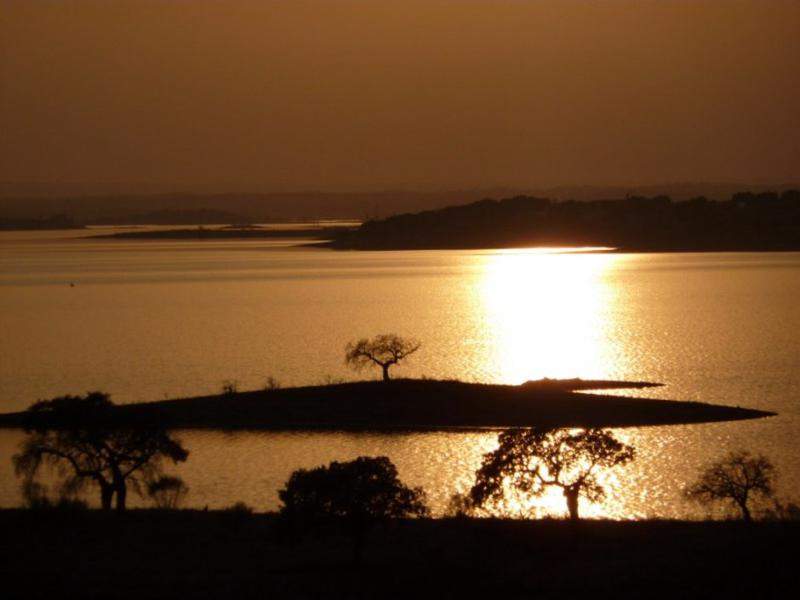 Alentejo 2011 243 [800x600]