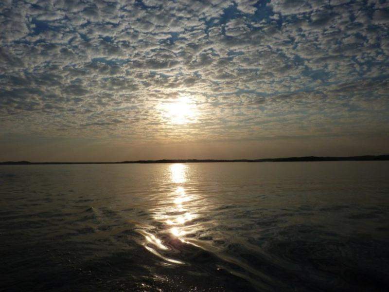Alentejo I 2011 382 [800x600]