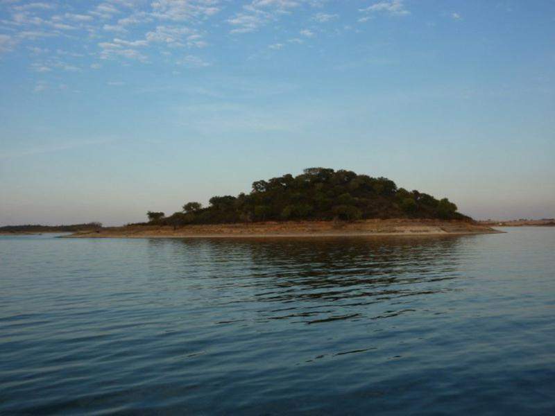 Alentejo I 2011 390 [800x600]