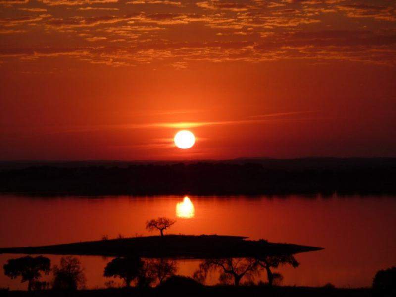 Alentejo I 2011 407 [800x600]