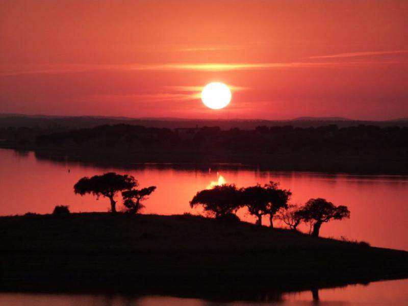 Alentejo I 2011 411 [800x600]