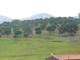 Alentejo