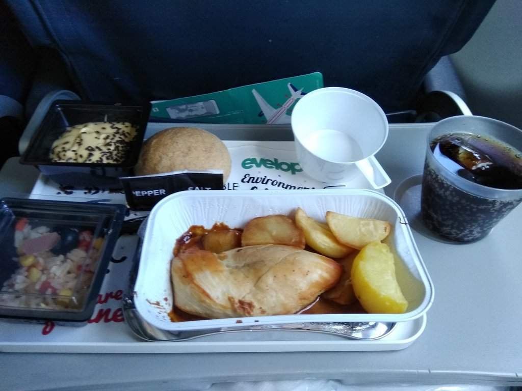 Almoço no voo de Ida