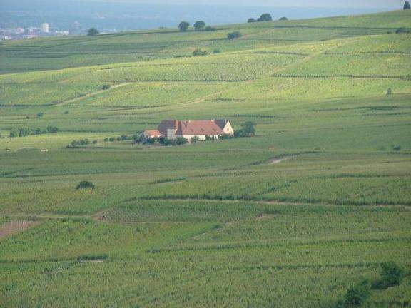 Alsácia