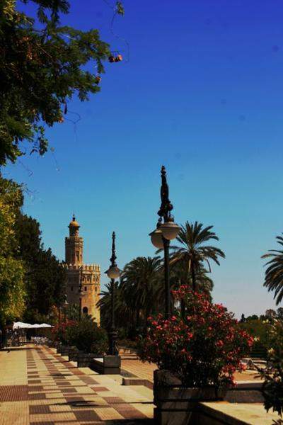 ANDALUZIA 2012 1057
