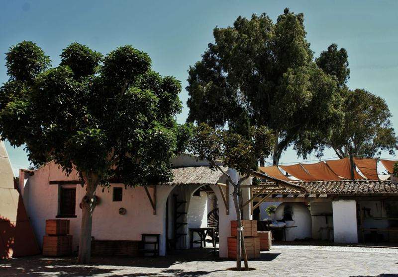 ANDALUZIA 2012 609