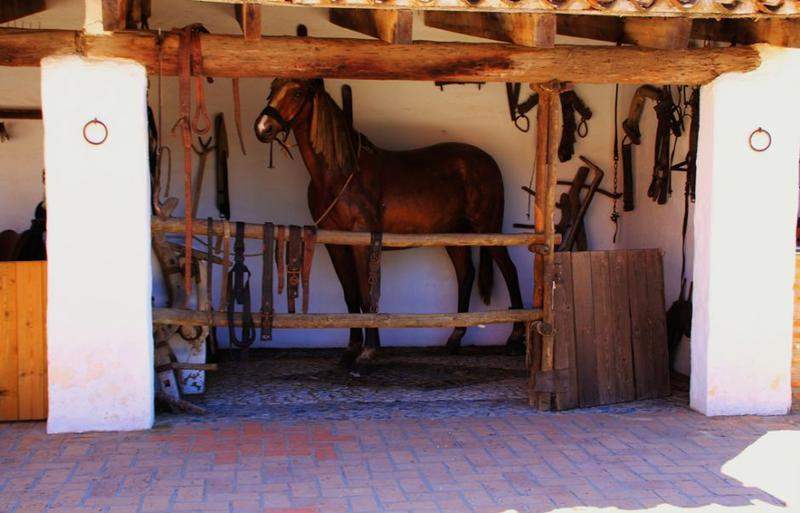 ANDALUZIA 2012 618