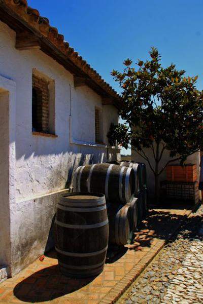 ANDALUZIA 2012 646