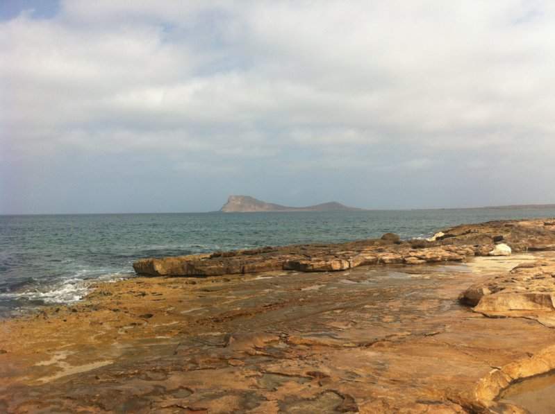 Baía do Algodoeiro