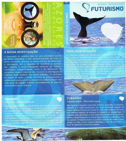 baleias 1