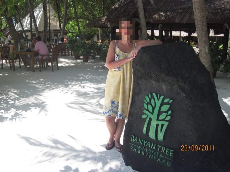 Banyan Tabuleta