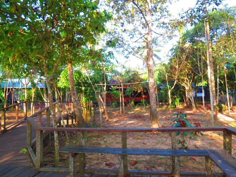 Bilit Rainforest Lodge