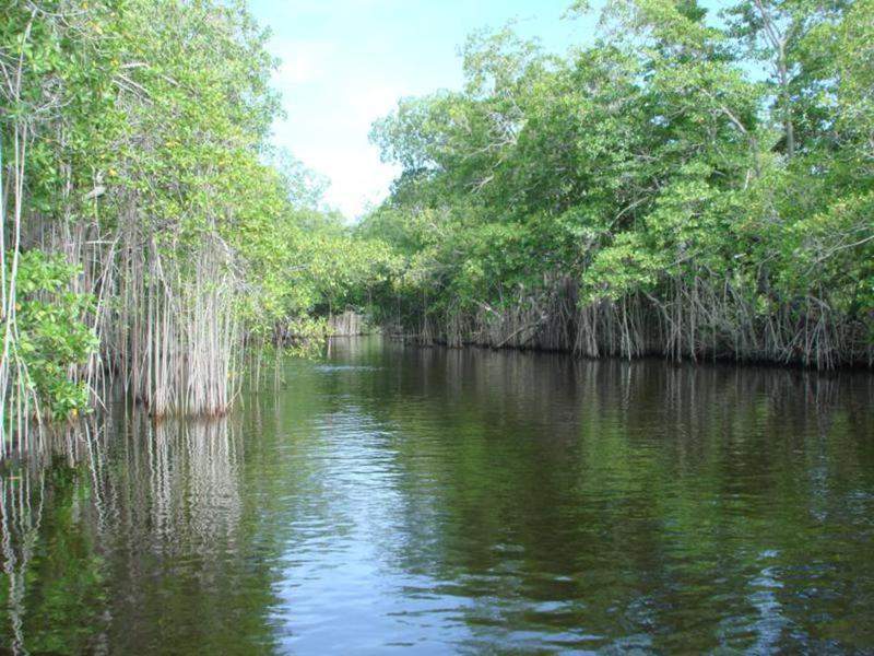 Black River