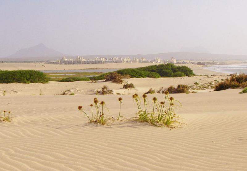 Boavista