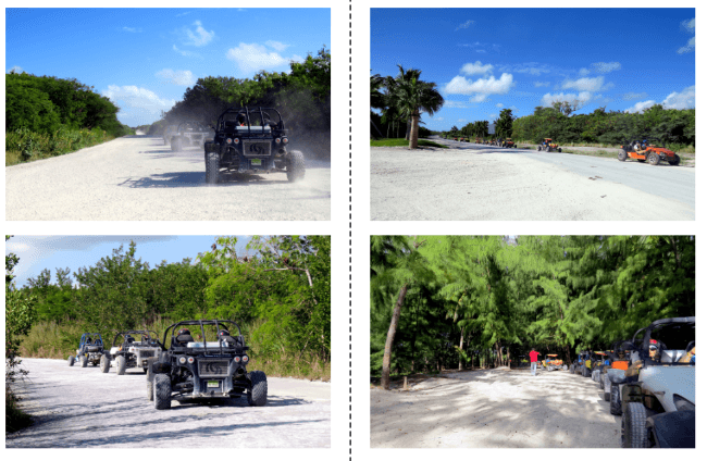 Buggies
