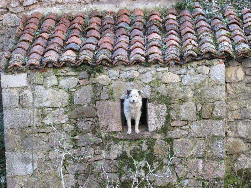 Bulnes