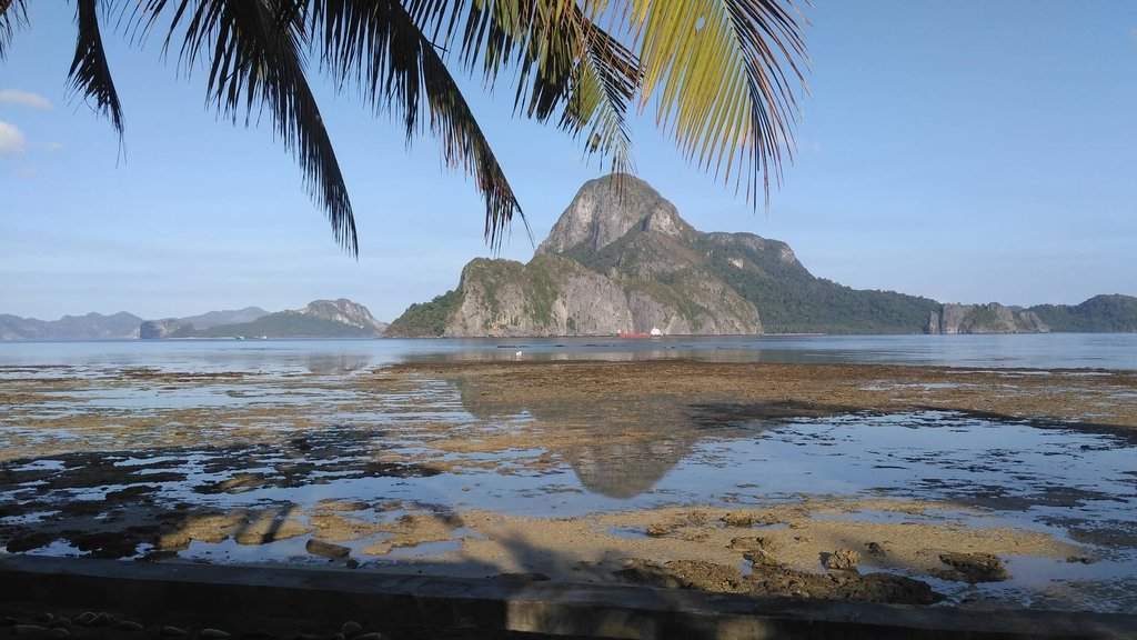 Caalan5