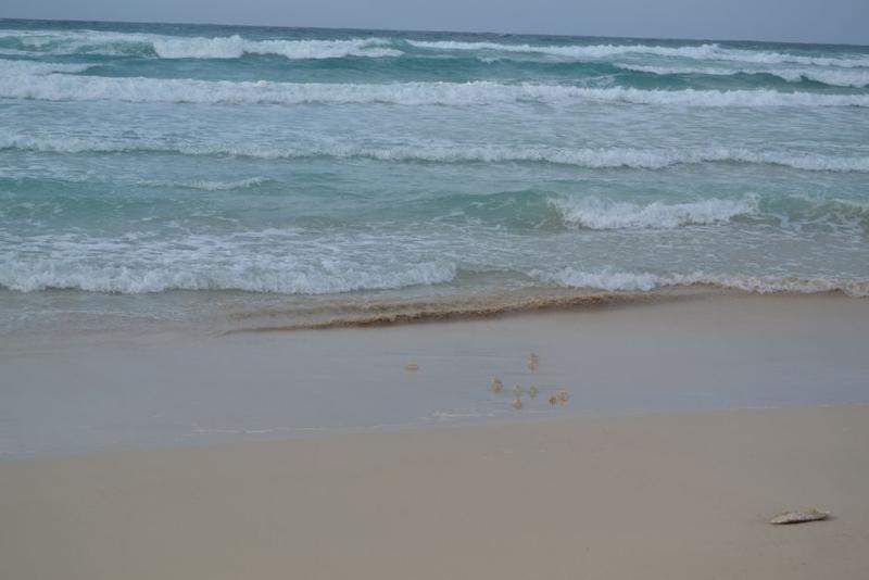 Cabo Verde, Boavista - passeio com Emiterio Lima