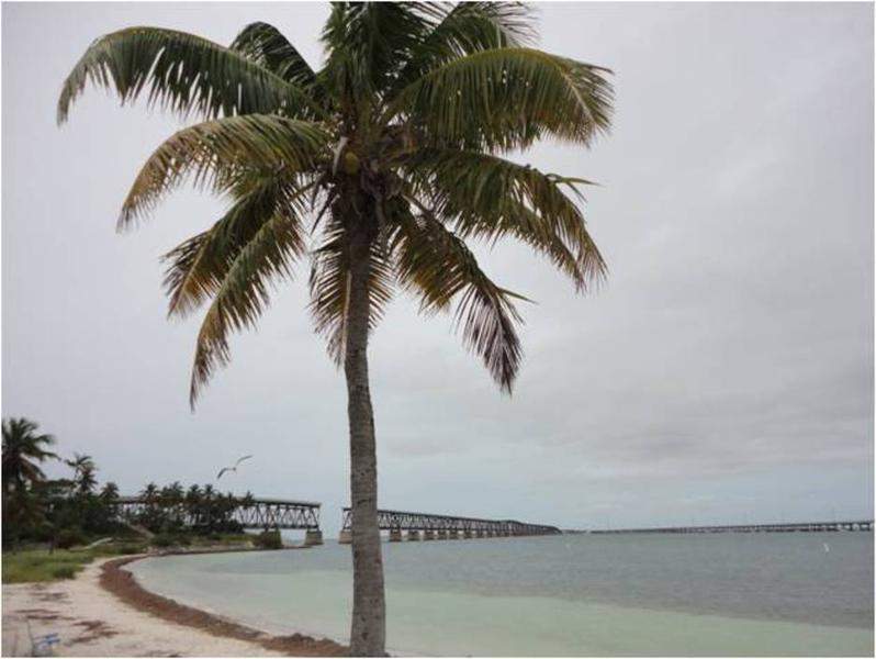 Calusa Beach em Bahia Honda (pode-se ver à esquerda a ponte onde passava a antiga e à direita a nova)