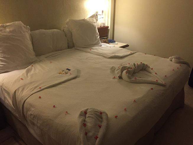 Cama 1