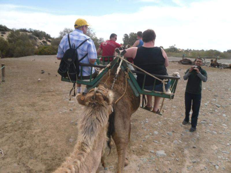 Camel Ride