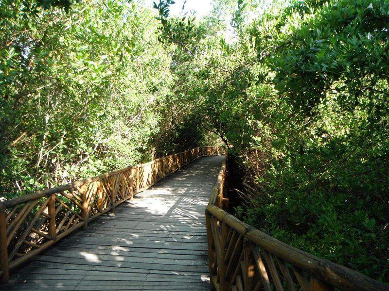Caminho para a praia