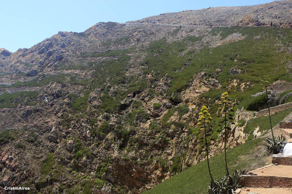 Caminho para o Farol e Forte