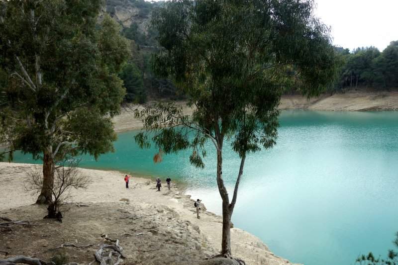 Caminito 1