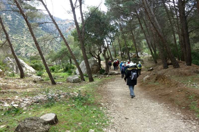 Caminito 9